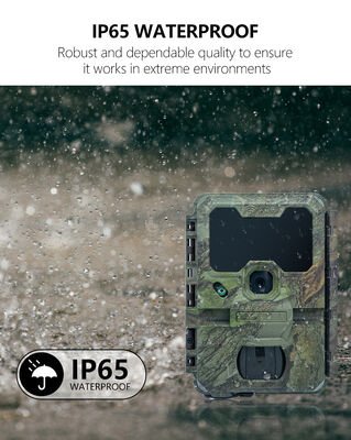Stock Wireless WiFi Bluetooth Kamera Mobile Trail Kamera Ideal für Jagdschutz und Wildtierbeobachtung Anwendungen