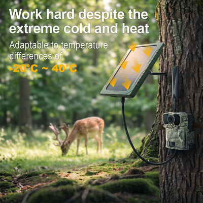 Dc Metal 4.0 1.7mm Solarmodul mit 5MP HD Color CMOS-Bildsensor, optimiert für erneuerbare Energiesysteme und maximale Leistung