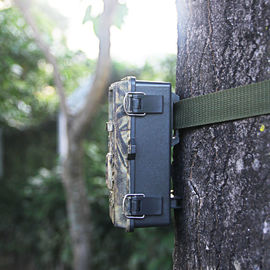 Batterien ließen drahtlose die Kamera-Infrarottierhintervideoüberwachung Digital-wild lebender Tiere nicht laufen
