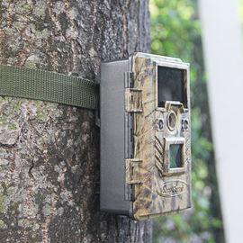Batterien ließen drahtlose die Kamera-Infrarottierhintervideoüberwachung Digital-wild lebender Tiere nicht laufen
