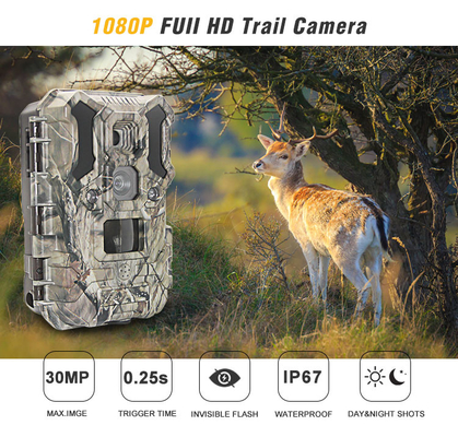 Infrarotjagd-Kamera 30MP 1080P IP66 lED-wild lebender Tiere