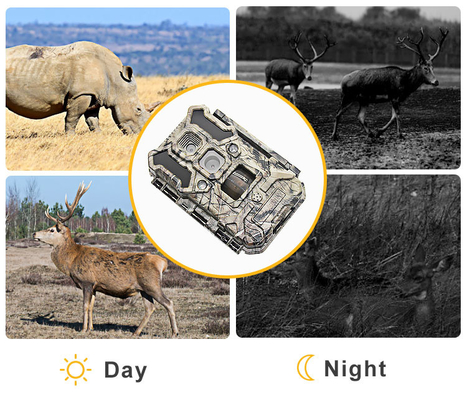 Infrarotjagd-Kamera 30MP 1080P IP66 lED-wild lebender Tiere