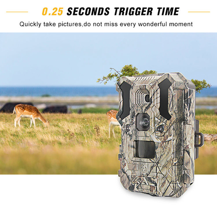 Infrarotjagd-Kamera 30MP 1080P IP66 lED-wild lebender Tiere