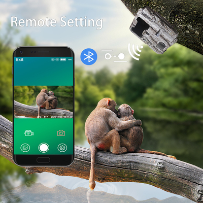 WIFI-Jagdkamera für den Außenbereich mit mobiler App für den Bildschirm