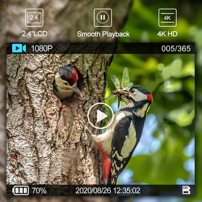 WIFI-Jagdkamera für den Außenbereich mit mobiler App für den Bildschirm
