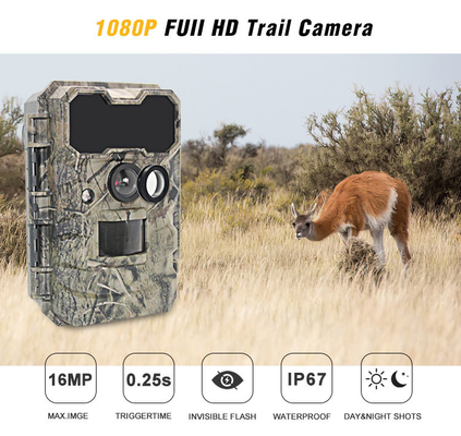 IP67 Camouflage No Glow Infrarot Fast Trigger Deer Hunting Trail Kamera