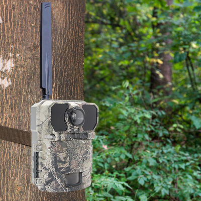 Outdoor Trail Kamera Fallen-Spiel Infrarot Jagdkamera Wildnis Natur Videokamera
