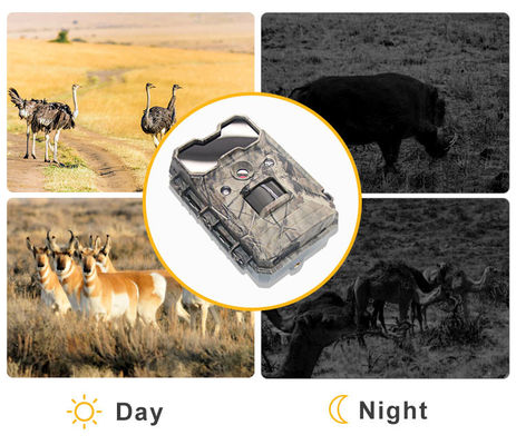 Bewegungsaktivierte Wildtierkamera