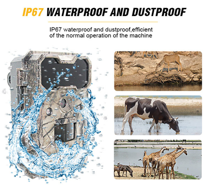 Infrarot-HD-Jagdkameras Wasserdichte 4G-Wildtier-Scouting-Kamera