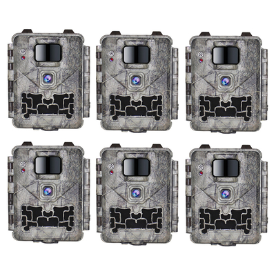 Digital-Hinterkamera wild lebender Tiere 1080p HD, die Kamera 12MP Waterproof TARNUNG Farbe jagt