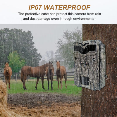 4K Digitale Wildtierkamera