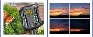1.3M Pixels Wildlife Garden Kamera-Time Lapse-Unterstützung SDHC MMC