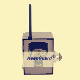 Kamera-Digital-wild lebender Tiere 12MP Hunting Motion Sensor Kamera für Rotwild