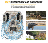 Infrarotjagd-Kamera 30MP 1080P IP66 lED-wild lebender Tiere