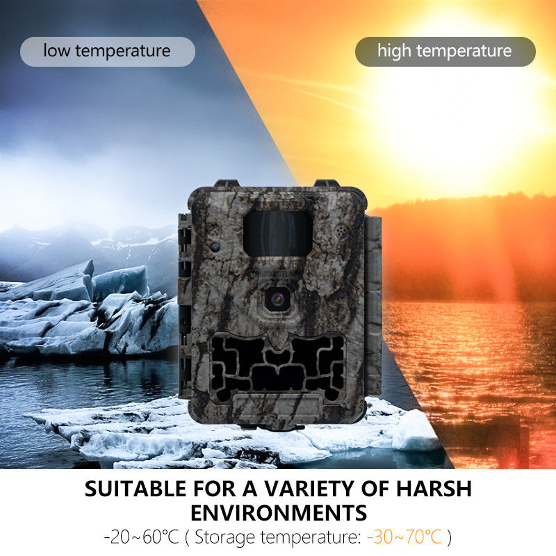 Professionelle Wildkamera mit Auto-IR-Cut-Filter und 450-mm-Mikroobjektiv-Unterstützung für klare und detaillierte Bilder von Wildtieren