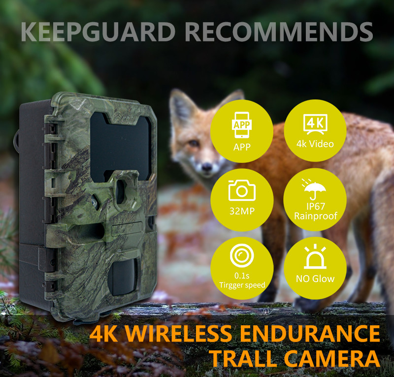 WIFI-Trail-Kamera KW866 wasserdicht IP67 OEM/ODM bis zu 512 GB Speicherplatz SD-Speicherkarte 32MP 4K Wildtierkamera