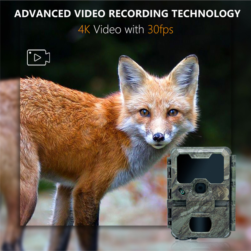 Nachtsicht Jagdkamera mit kleiner Größe KW788 0,1s Auslöser 32MP scharfes Bild 4K Video wasserdicht IP67 für die Jagd