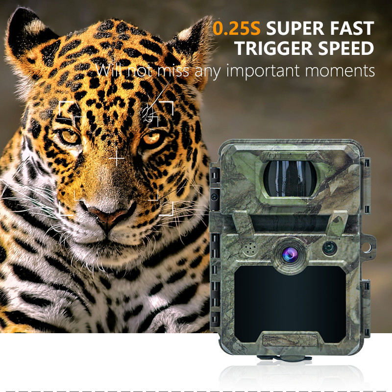 KW571 Mini Wireless Jagdkamera IP67 No-Glow CMOS Sensor SD-Karte Waldstealth-Spiel billig niedrig